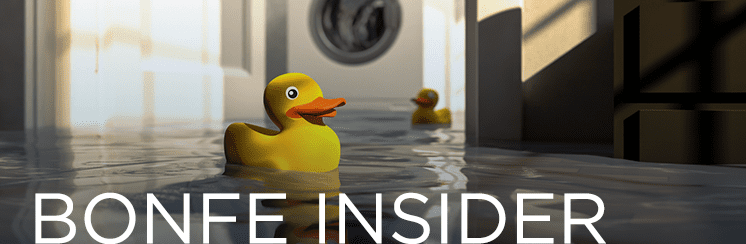 Bonfe Insider with duck