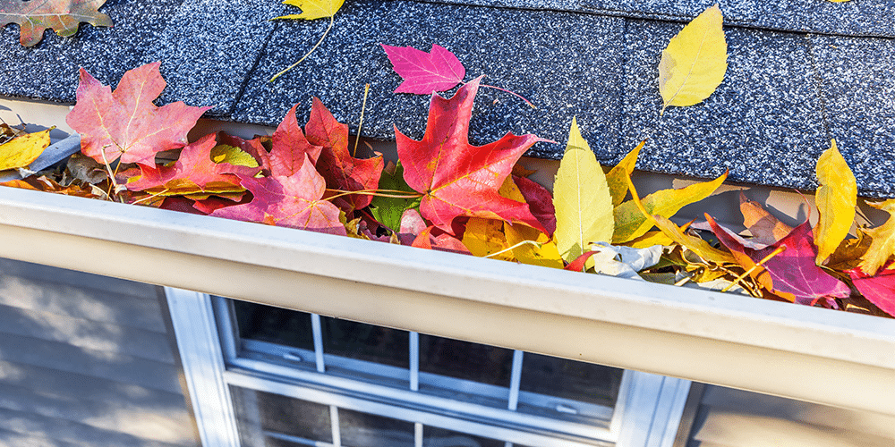 gutter with leaves